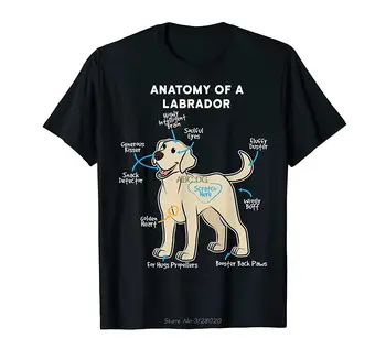 Anatomía De Un Labrador Gracioso Maestro De Perro Amante De La Camiseta De Los Hombres De Algodón De La Camiseta De Hip Hop Camisetas Streetwear Harajuku